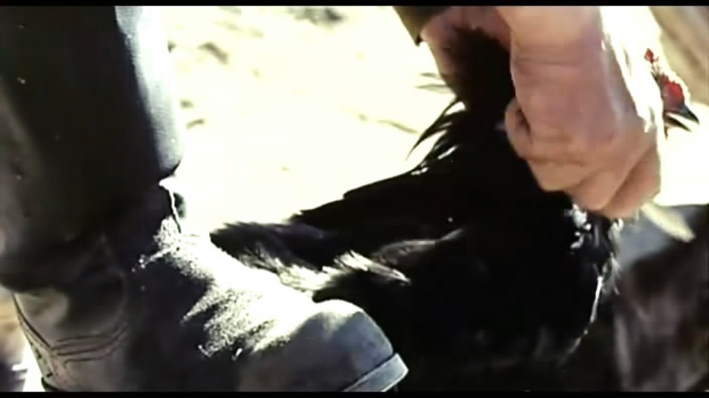 《给斯大林的礼物》海报第36张图片 《给斯大林的礼物》海报第36张图片