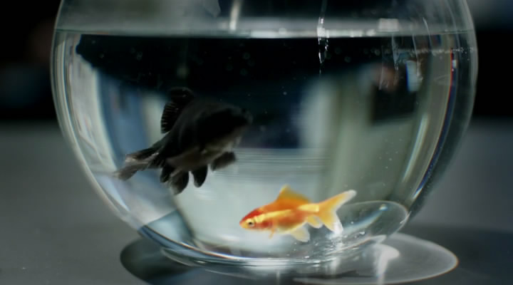 《陈尸谜案》海报第49张图片 《陈尸谜案》海报第49张图片