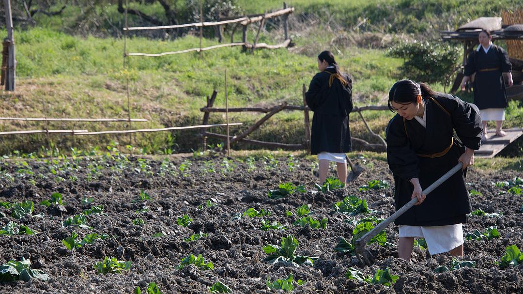 《投靠女与出走男》海报第27张图片 《投靠女与出走男》海报第27张图片