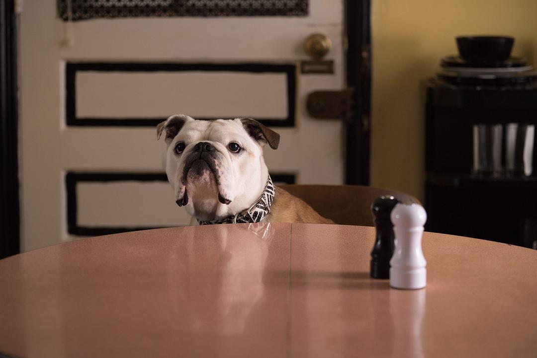 《帕特森》剧照第30张图片 《帕特森》剧照第30张图片