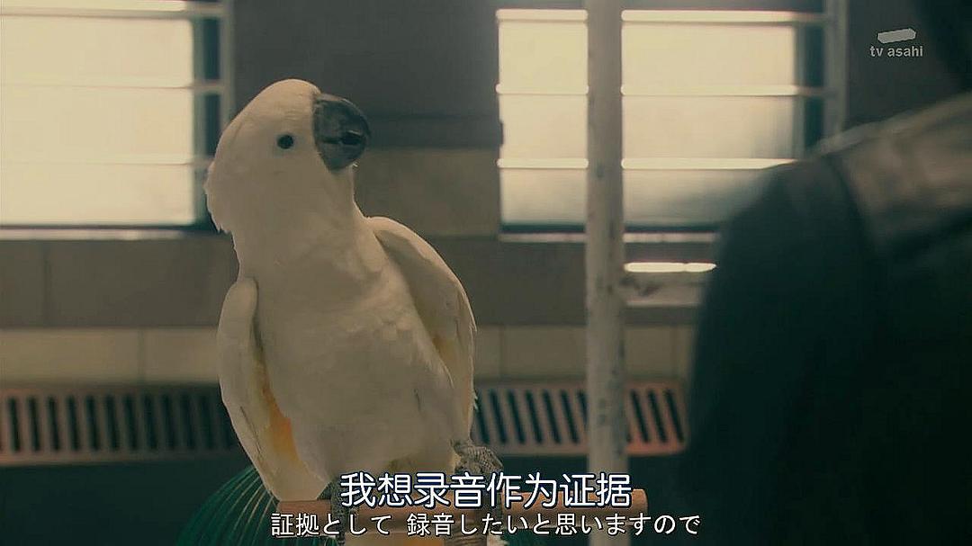 《紧急审讯室2》海报第42张图片 《紧急审讯室2》海报第42张图片