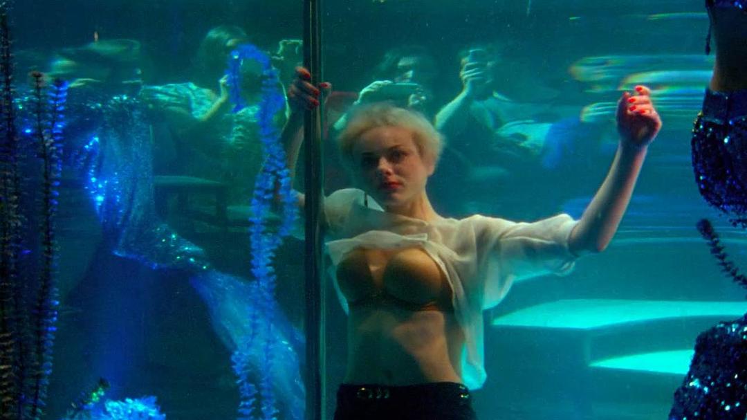 《明星》海报第40张图片 《明星》海报第40张图片