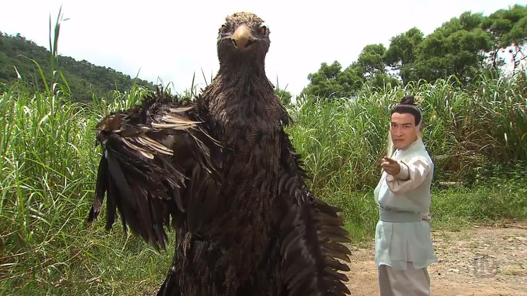 《翻生武林》剧照第46张图片 《翻生武林》剧照第46张图片