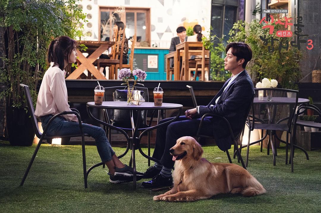 《一起用餐吧3》海报第20张图片 《一起用餐吧3》海报第20张图片