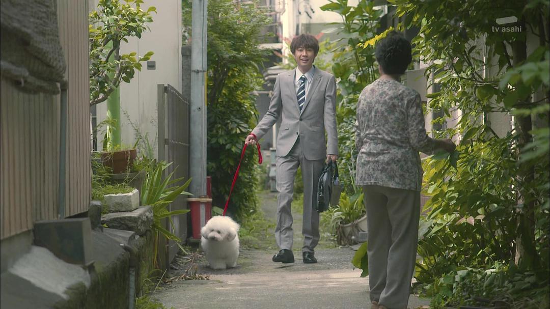 《我与尾巴与神乐坂》海报第46张图片 《我与尾巴与神乐坂》海报第46张图片