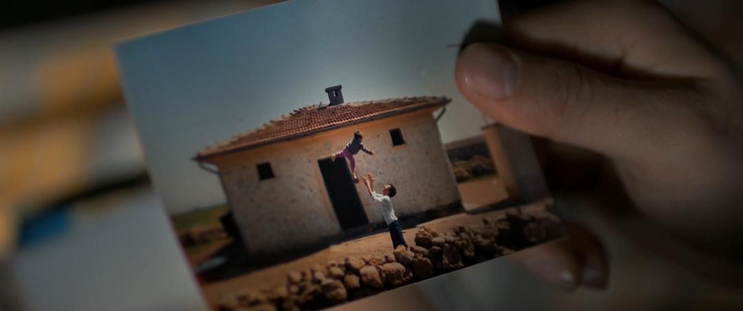 《野梨树》海报第41张图片 《野梨树》海报第41张图片