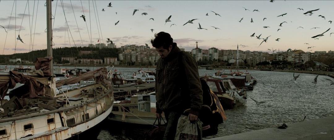 《野梨树》海报第40张图片 《野梨树》海报第40张图片