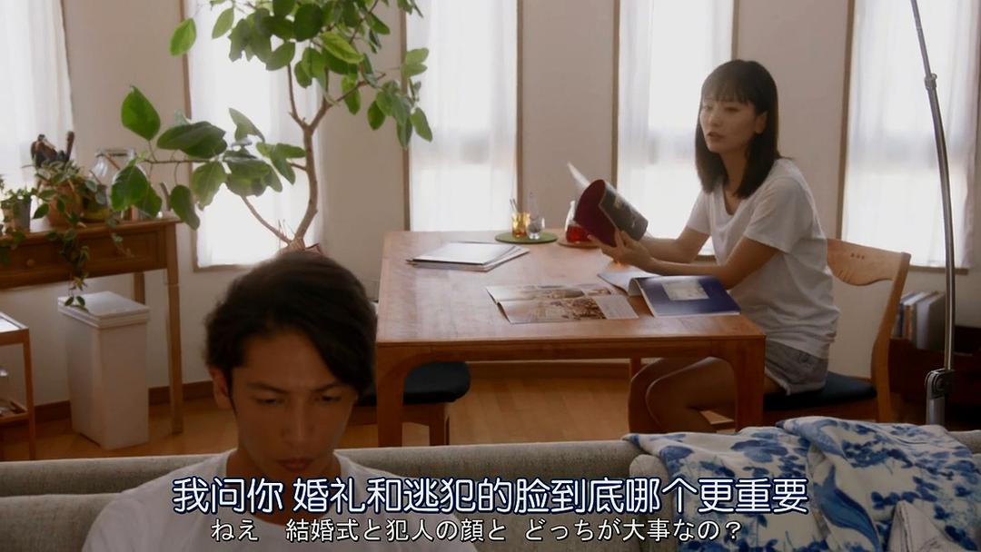 《被盗的脸》海报