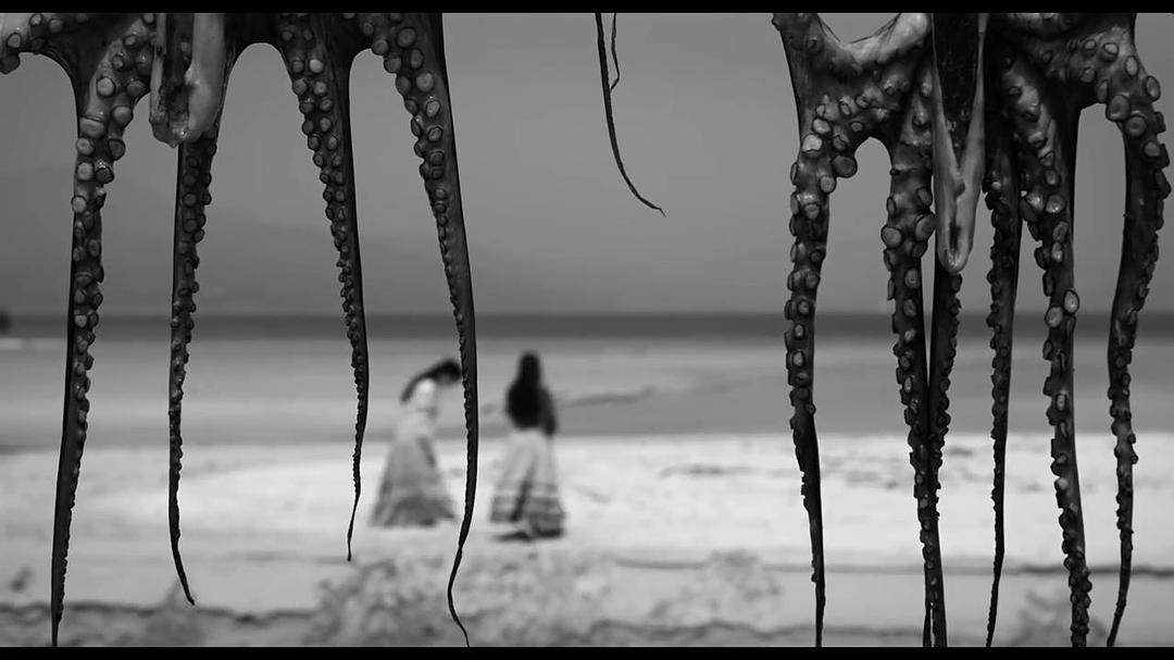 《伊莉莎与玛瑟拉》海报第16张图片 《伊莉莎与玛瑟拉》海报第16张图片