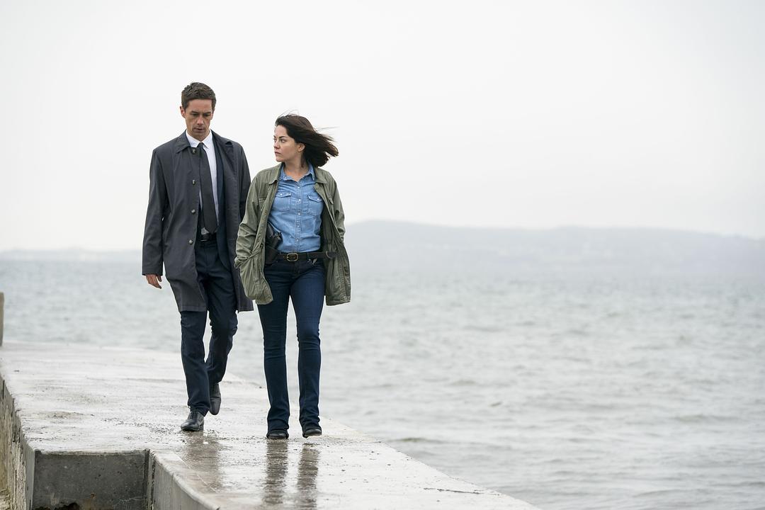 《都柏林凶案》海报