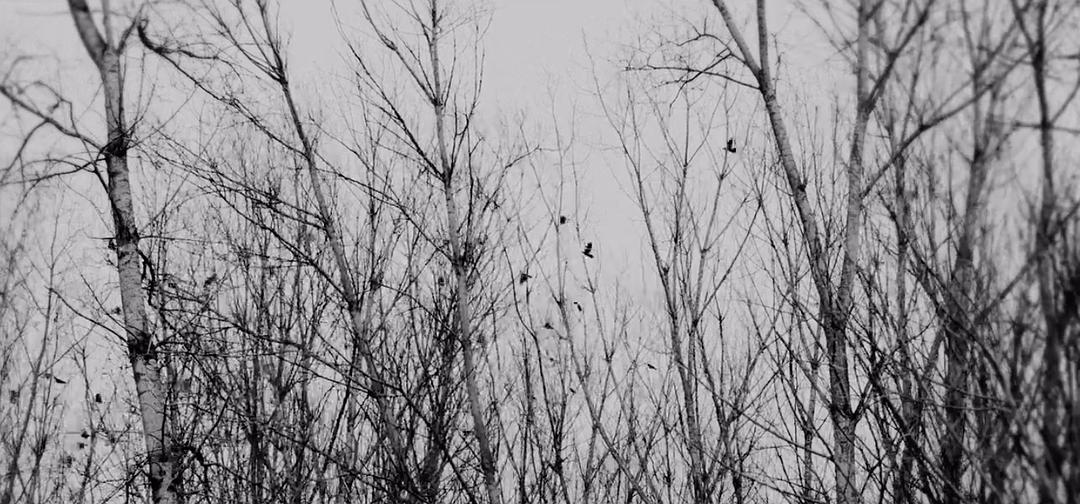 《伊莉莎与玛瑟拉》海报第51张图片 《伊莉莎与玛瑟拉》海报第51张图片