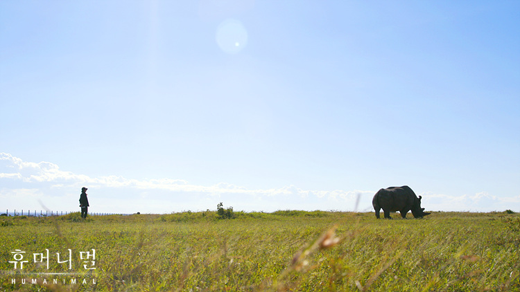 《人类-动物》海报第28张图片 《人类-动物》海报第28张图片