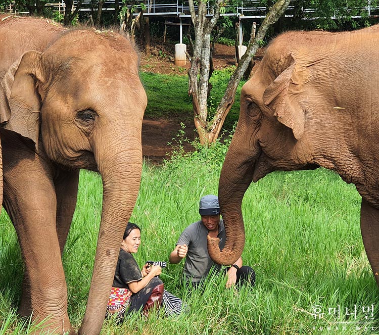 《人类-动物》海报第20张图片 《人类-动物》海报第20张图片
