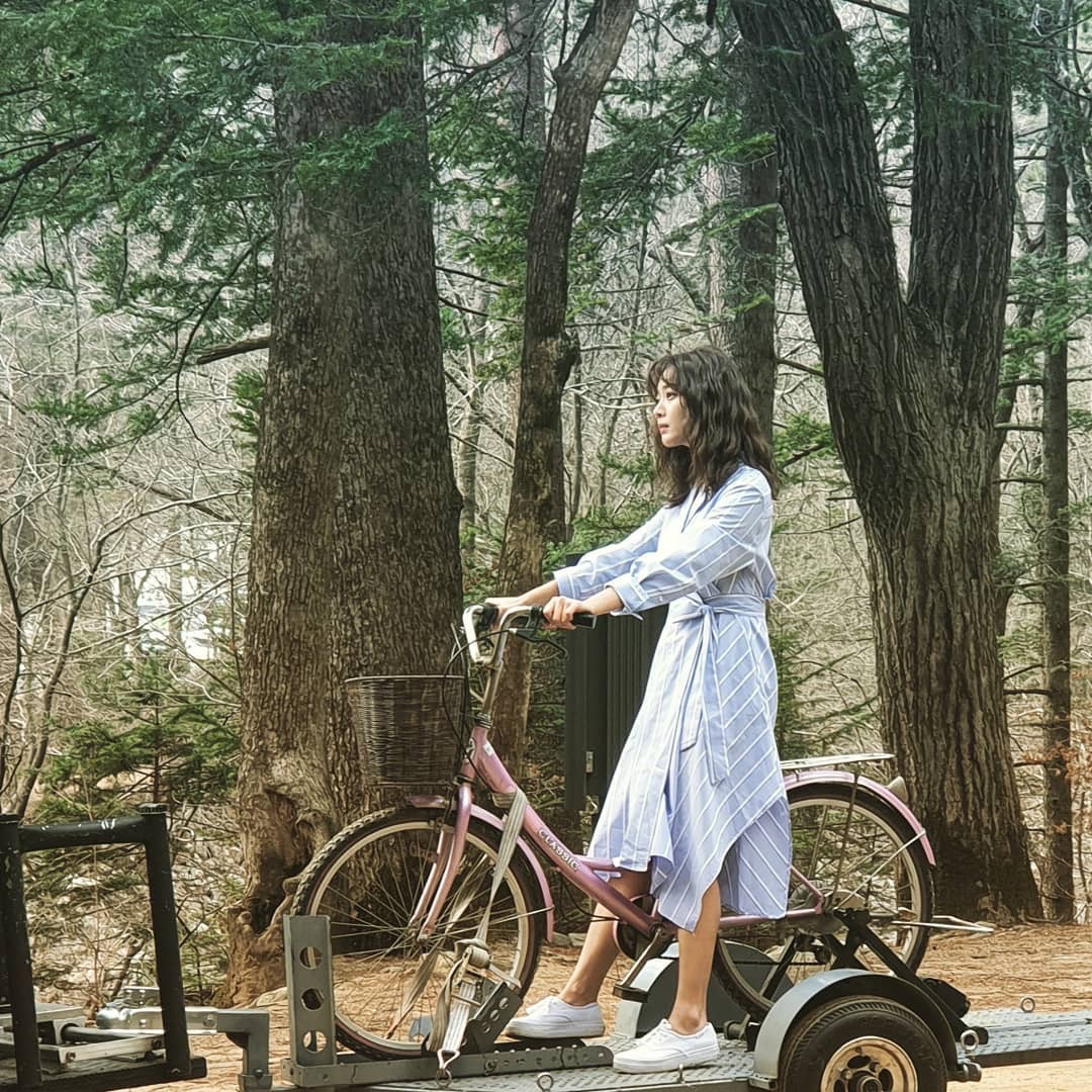 《森林》海报第43张图片 《森林》海报第43张图片