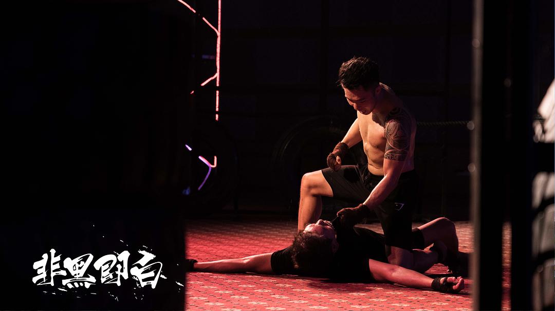 《非黑即白》海报第18张图片 《非黑即白》海报第18张图片