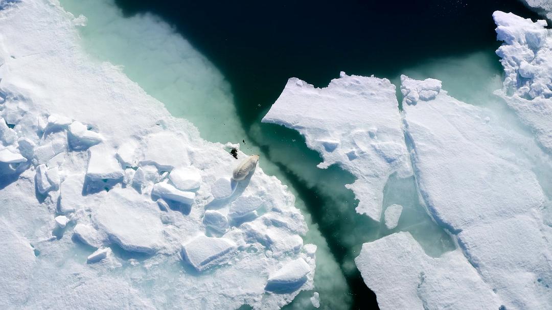 《全球绝美国家公园》剧照第47张图片 《全球绝美国家公园》剧照第47张图片