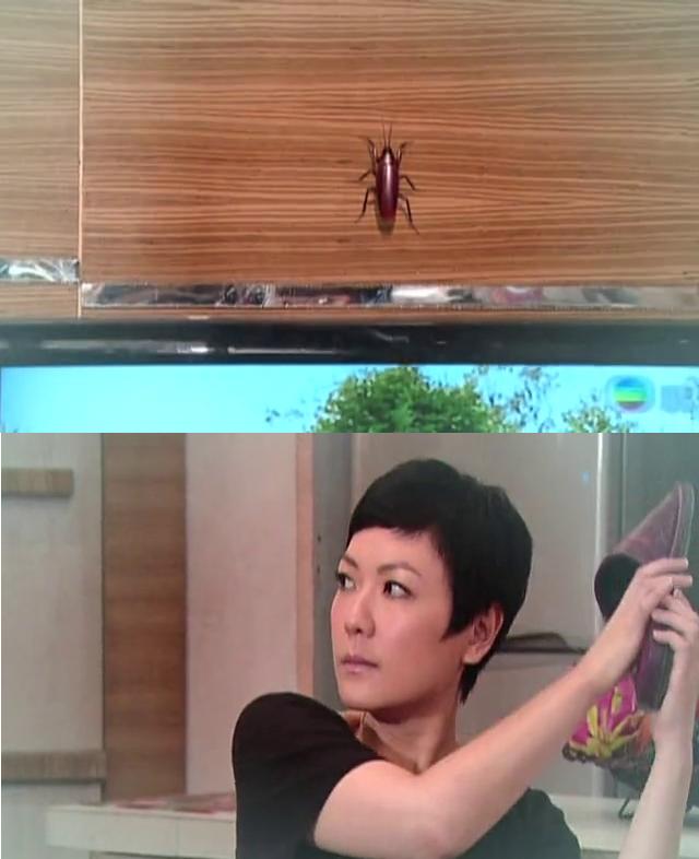 《谁家灶头无烟火》海报第48张图片 《谁家灶头无烟火》海报第48张图片