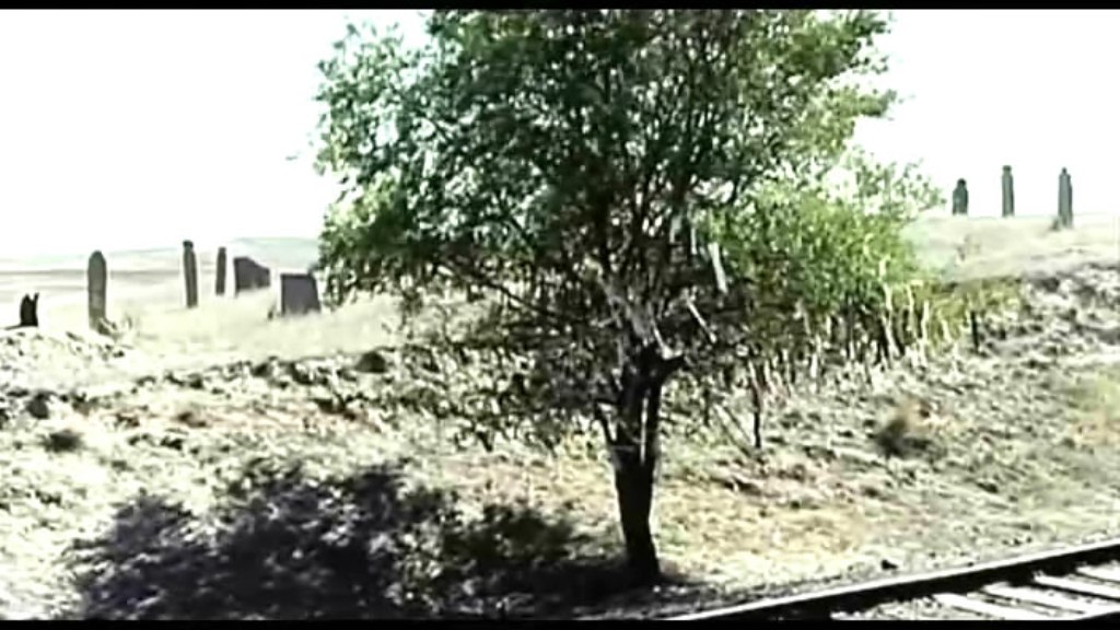 《给斯大林的礼物》海报第42张图片 《给斯大林的礼物》海报第42张图片