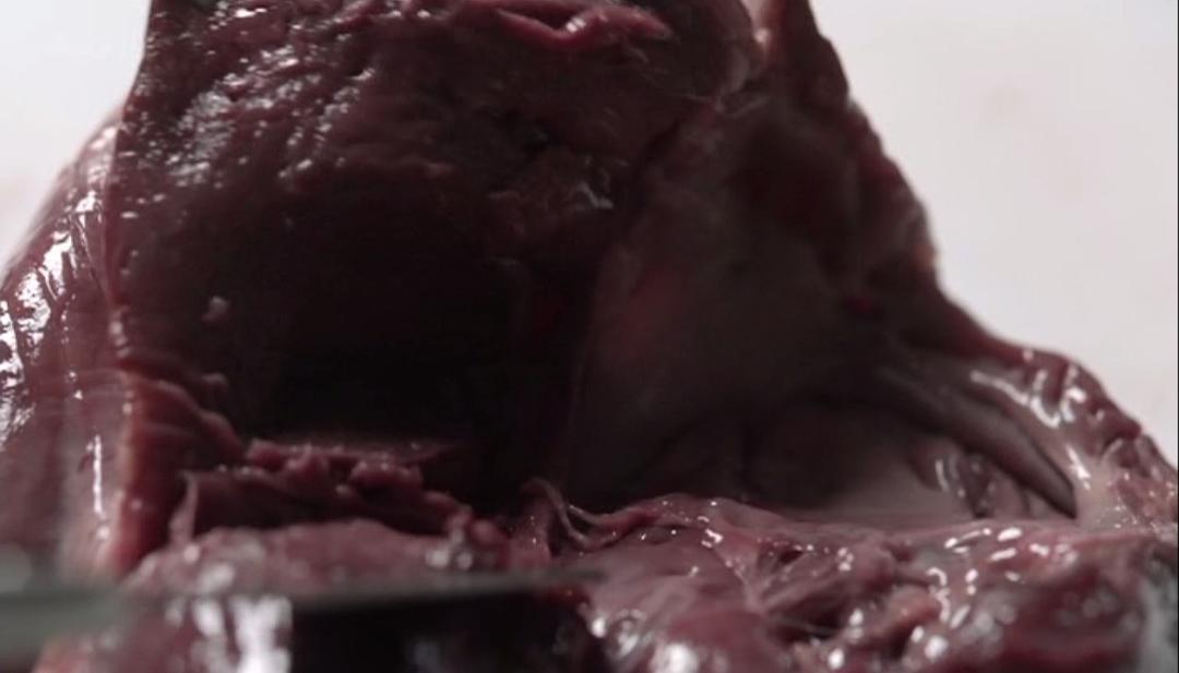 《尸研所》剧照第41张图片 《尸研所》剧照第41张图片