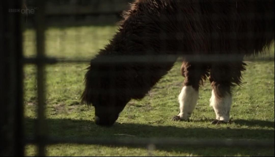《尸研所》剧照第34张图片 《尸研所》剧照第34张图片