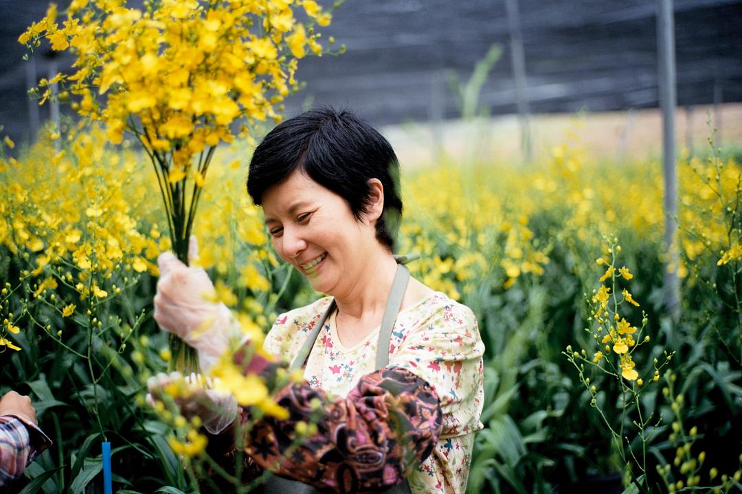 《逆光飞翔》海报