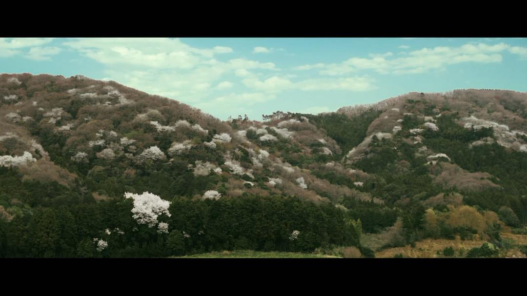 《寻访千利休》海报第58张图片 《寻访千利休》海报第58张图片