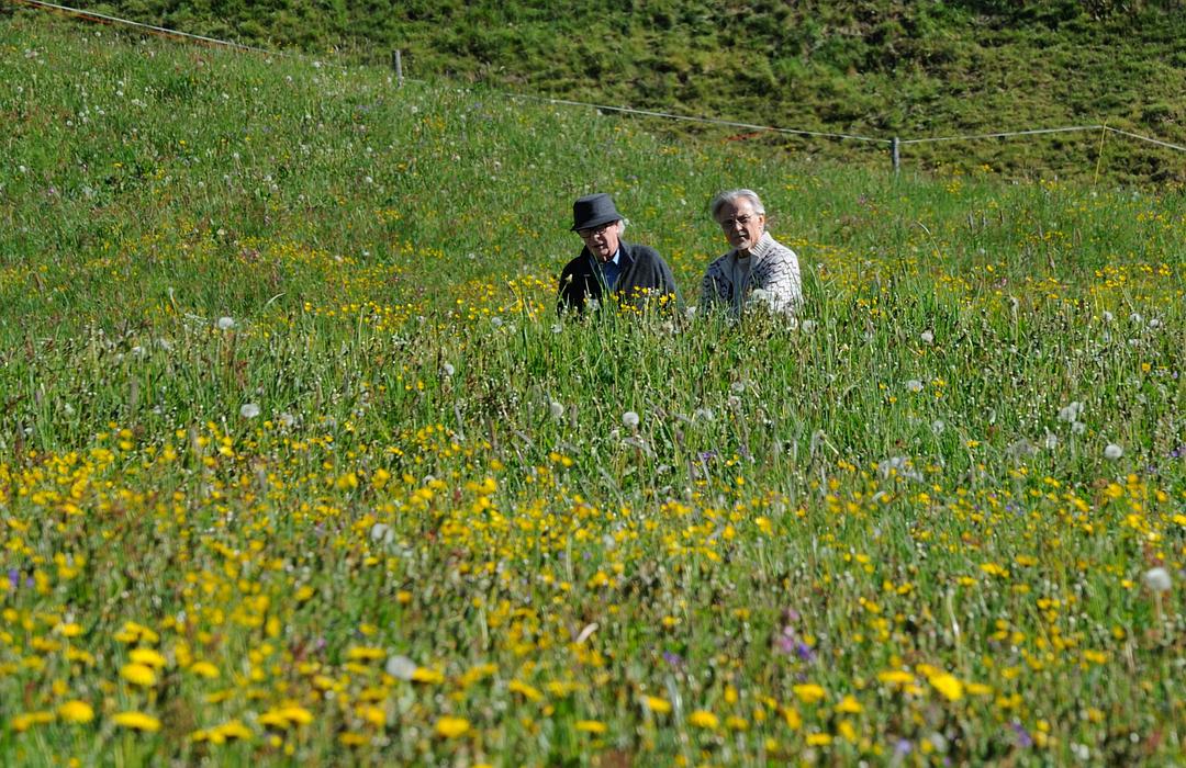 《年轻气盛》剧照第13张图片 《年轻气盛》剧照第13张图片