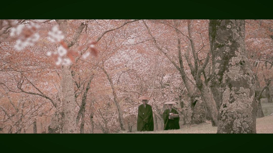 《寻访千利休》海报第40张图片 《寻访千利休》海报第40张图片