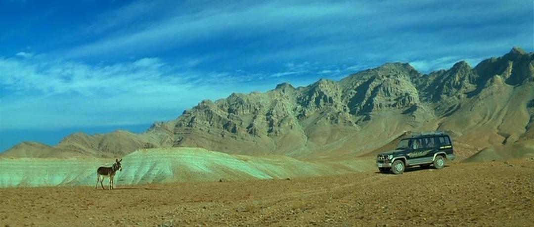 《喀布尔快递》剧照第10张图片 《喀布尔快递》剧照第10张图片