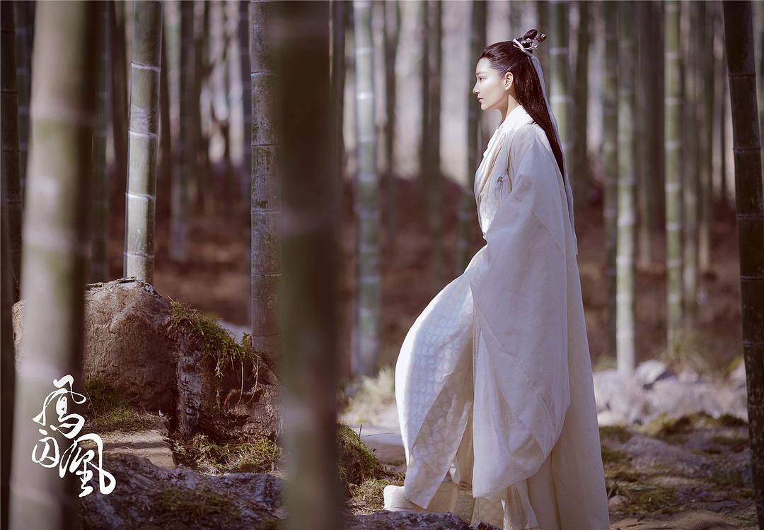 《凤囚凰》剧照第48张图片 《凤囚凰》剧照第48张图片