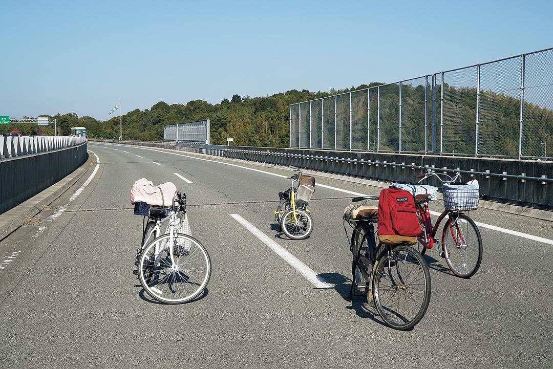 《生存家族》海报第16张图片 《生存家族》海报第16张图片