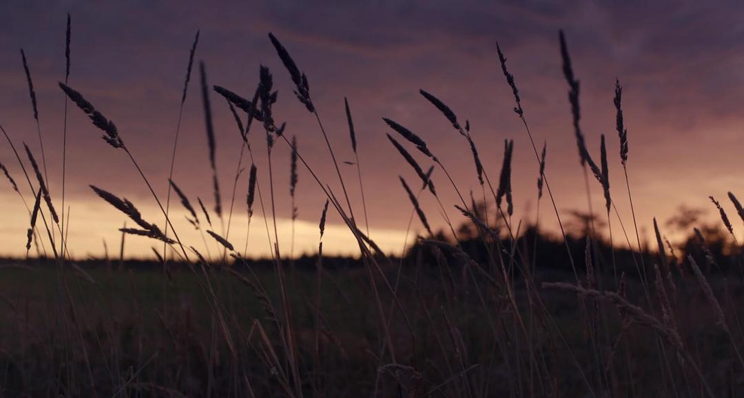《莫娣》海报第37张图片 《莫娣》海报第37张图片