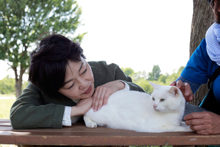 《蔚蓝海岸N°10》海报第45张图片 《蔚蓝海岸N°10》海报第45张图片