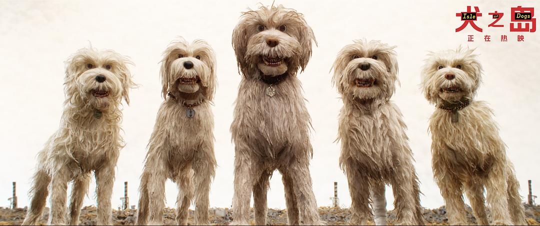 《犬之岛》海报第16张图片 《犬之岛》海报第16张图片