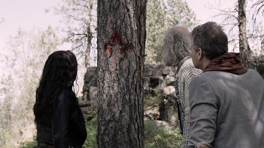 《僵尸国度第五季》海报第18张图片 《僵尸国度第五季》海报第18张图片