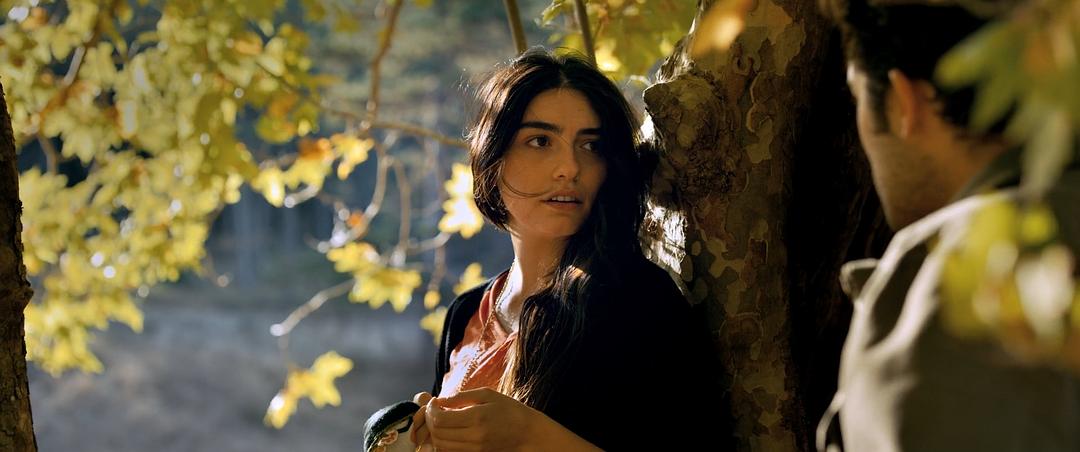 《野梨树》海报第30张图片 《野梨树》海报第30张图片