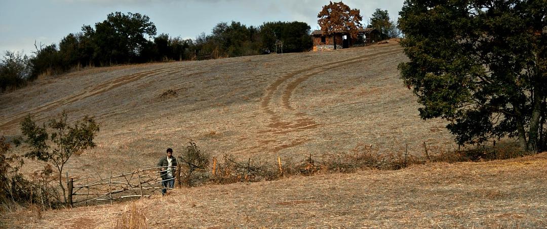 《野梨树》海报第45张图片 《野梨树》海报第45张图片