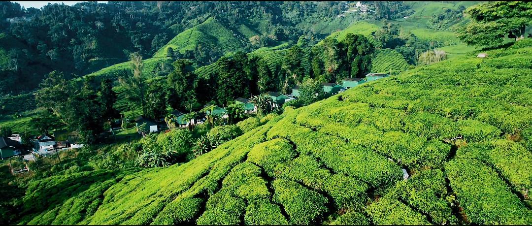 《原生之罪第一季》剧照第46张图片 《原生之罪第一季》剧照第46张图片