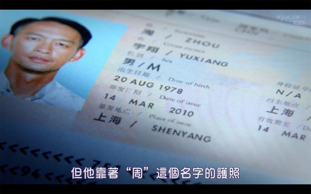 《被盗的脸》海报