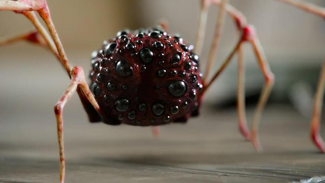 《真爱不死第三季》海报第6张图片 《真爱不死第三季》海报第6张图片