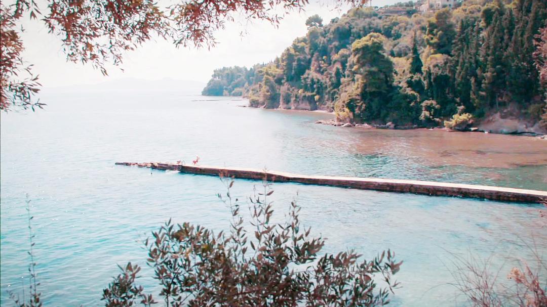 《德雷尔一家第四季》剧照第55张图片 《德雷尔一家第四季》剧照第55张图片