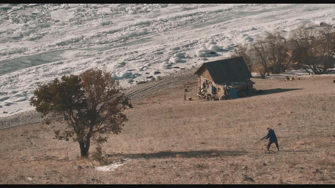 《在西伯利亚森林中》海报第37张图片 《在西伯利亚森林中》海报第37张图片