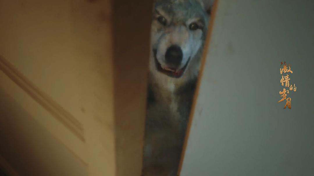 《激情的岁月》剧照第33张图片 《激情的岁月》剧照第33张图片