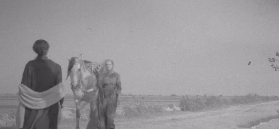 《伊莉莎与玛瑟拉》海报第19张图片 《伊莉莎与玛瑟拉》海报第19张图片