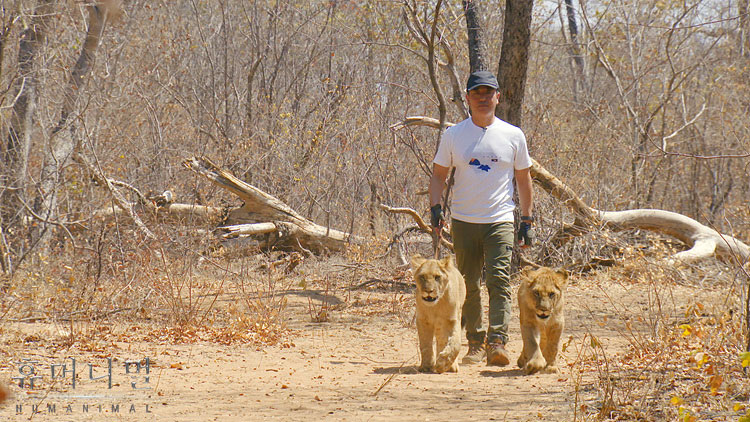 《人类-动物》海报第54张图片 《人类-动物》海报第54张图片