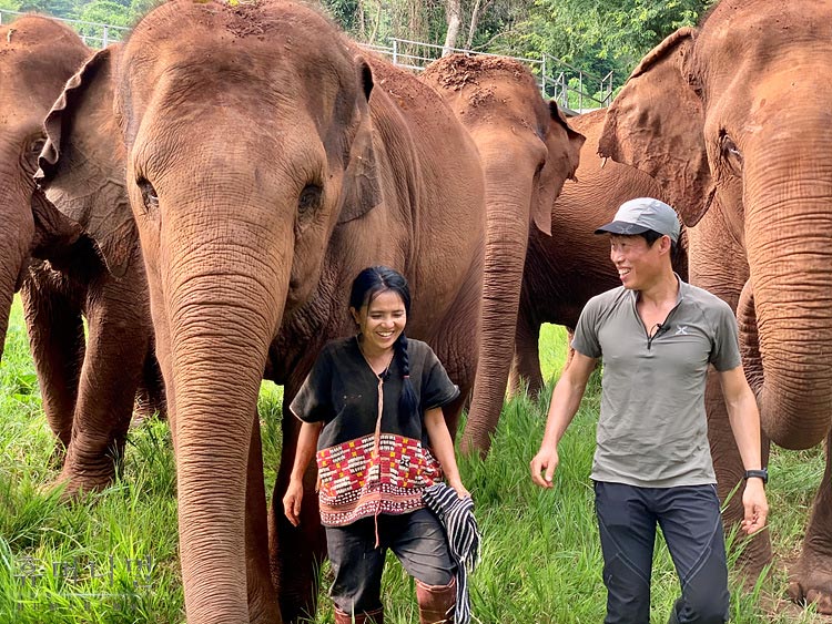 《人类-动物》海报第49张图片 《人类-动物》海报第49张图片