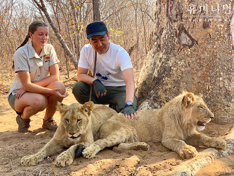 《人类-动物》海报第41张图片 《人类-动物》海报第41张图片