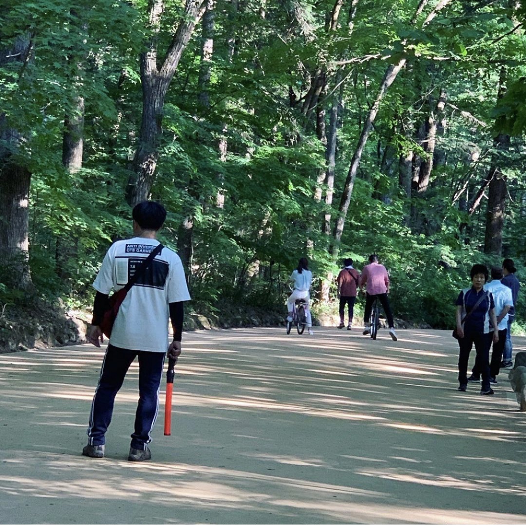 《森林》海报第42张图片 《森林》海报第42张图片