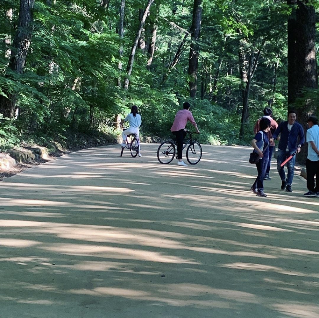 《森林》海报第29张图片 《森林》海报第29张图片