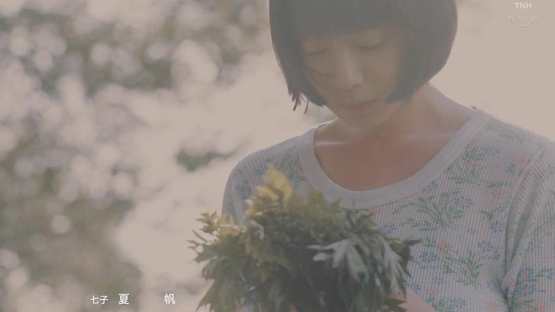 《一人露营》海报第56张图片 《一人露营》海报第56张图片